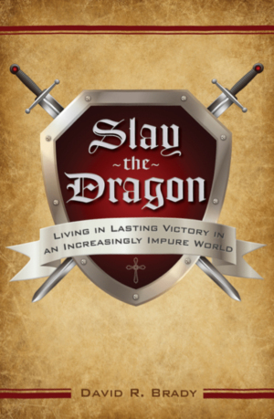 Book cover of "Slay the Dragon" by David Brady