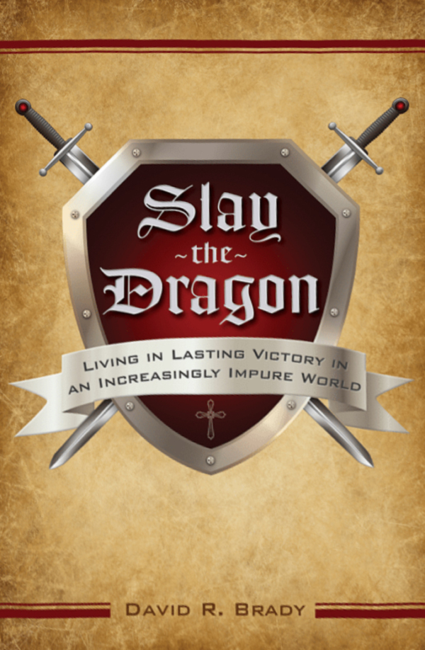 Book cover of "Slay the Dragon" by David Brady